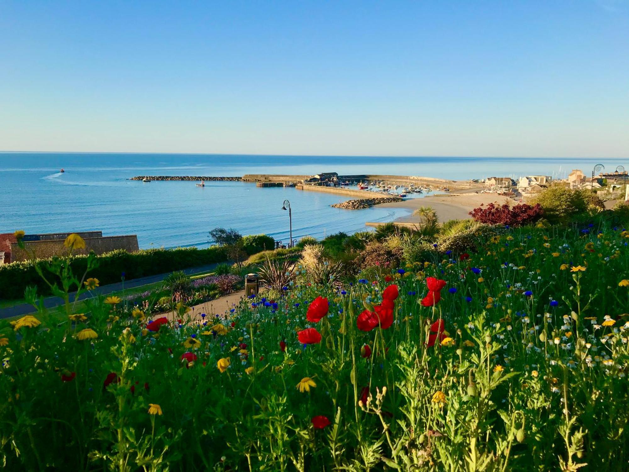 Lyme Regis Renovated Period Seaside Flat Leilighet Eksteriør bilde